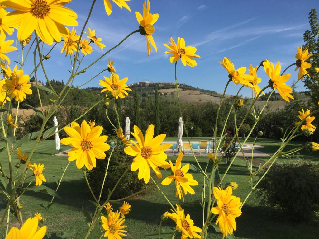 Agriturismo Marinello Pienza Exteriér fotografie